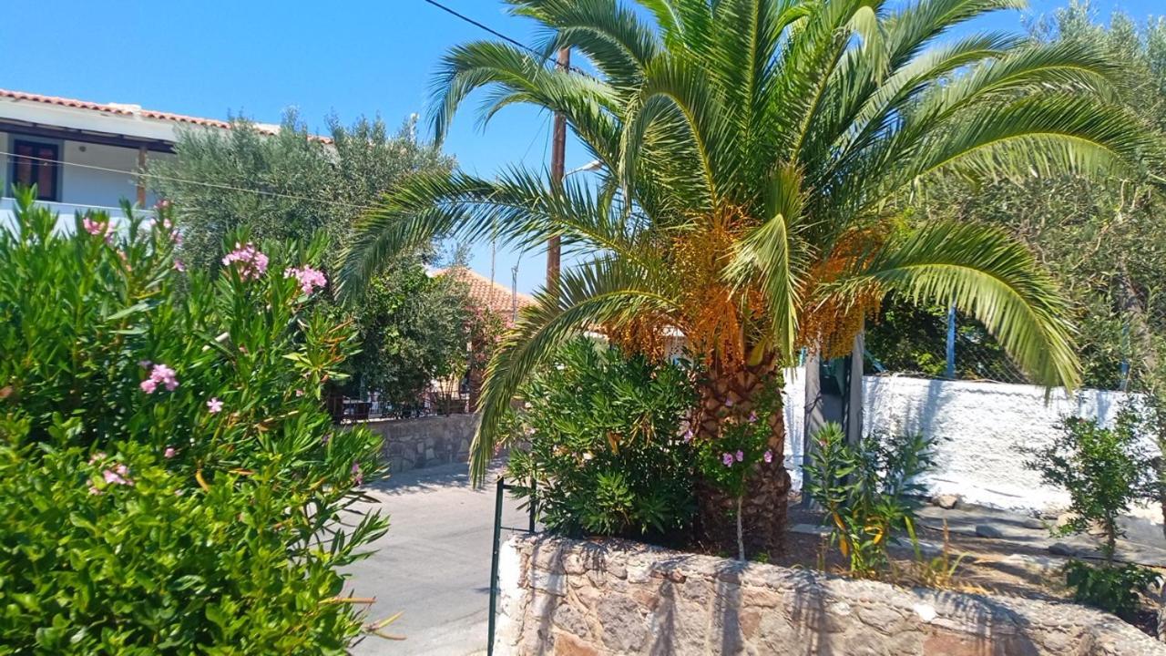 Anessis Cosmos Aparthotel Anaxos Luaran gambar