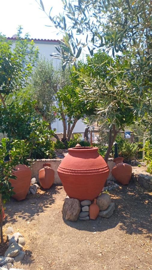 Anessis Cosmos Aparthotel Anaxos Luaran gambar