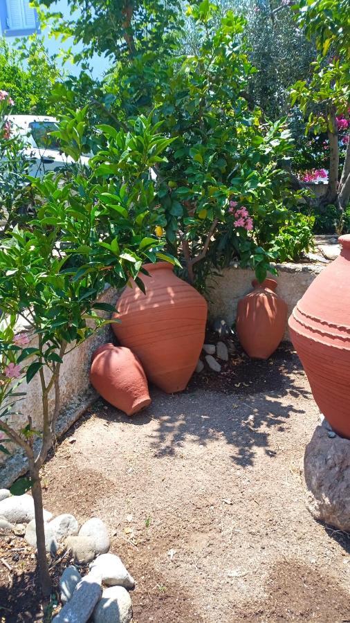 Anessis Cosmos Aparthotel Anaxos Luaran gambar