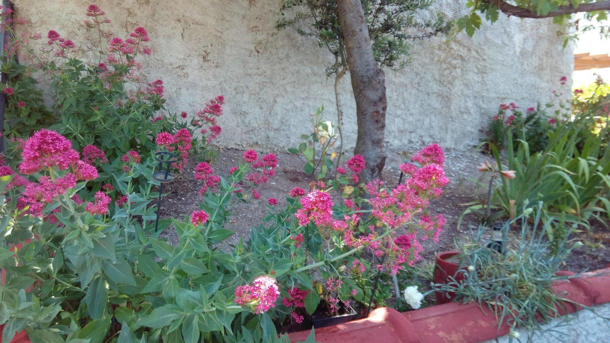 Anessis Cosmos Aparthotel Anaxos Luaran gambar